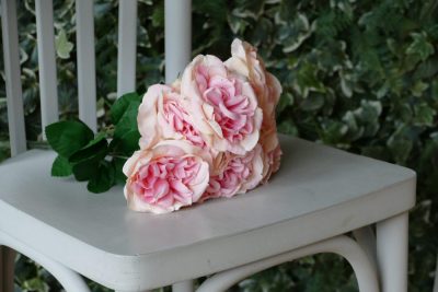 Backdrop Botanical - roze bloemen op stoel